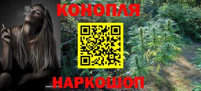спиды Новокубанск