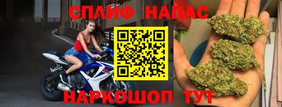 спиды Новокубанск